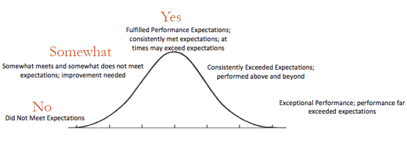 Performance Bell Curve